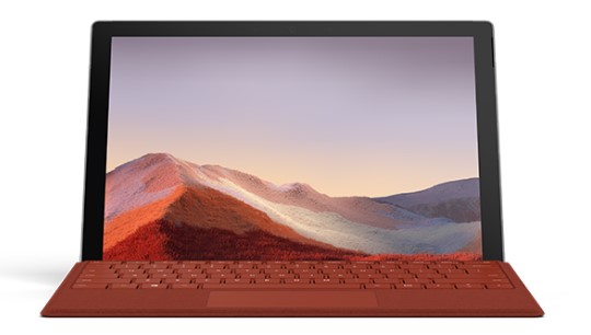 湖滨清洁和维护 Surface